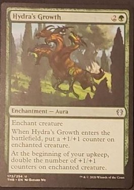 Hydra's Growth