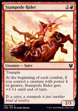 Stampede Rider