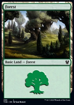 Forest (Version 1)