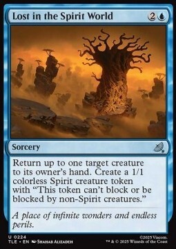 Lost in the Spirit World