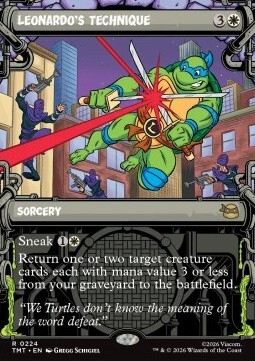 Leonardo's Technique