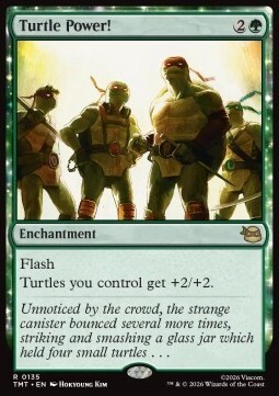 Turtle Power!
