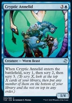 Cryptic Annelid