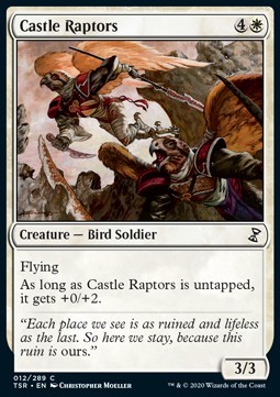 Castle Raptors