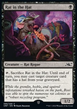 Rat in the Hat
