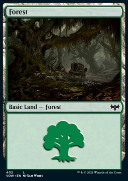Forest
