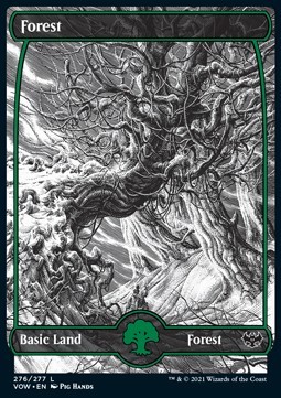Forest (V.1)