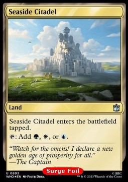 Seaside Citadel