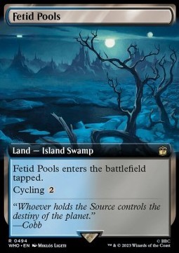 Fetid Pools (V.1)