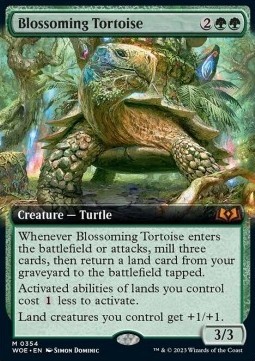 Blossoming Tortoise