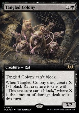 Tangled Colony