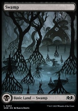 Swamp (V.1)