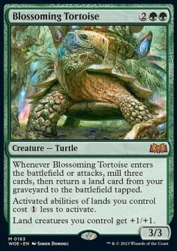 Blossoming Tortoise