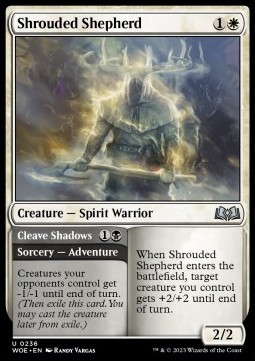 Shrouded Shepherd // Cleave Shadows