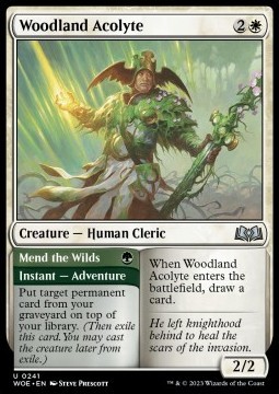Woodland Acolyte // Mend the Wilds