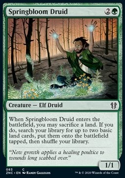 Springbloom Druid