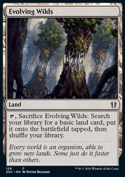 Evolving Wilds
